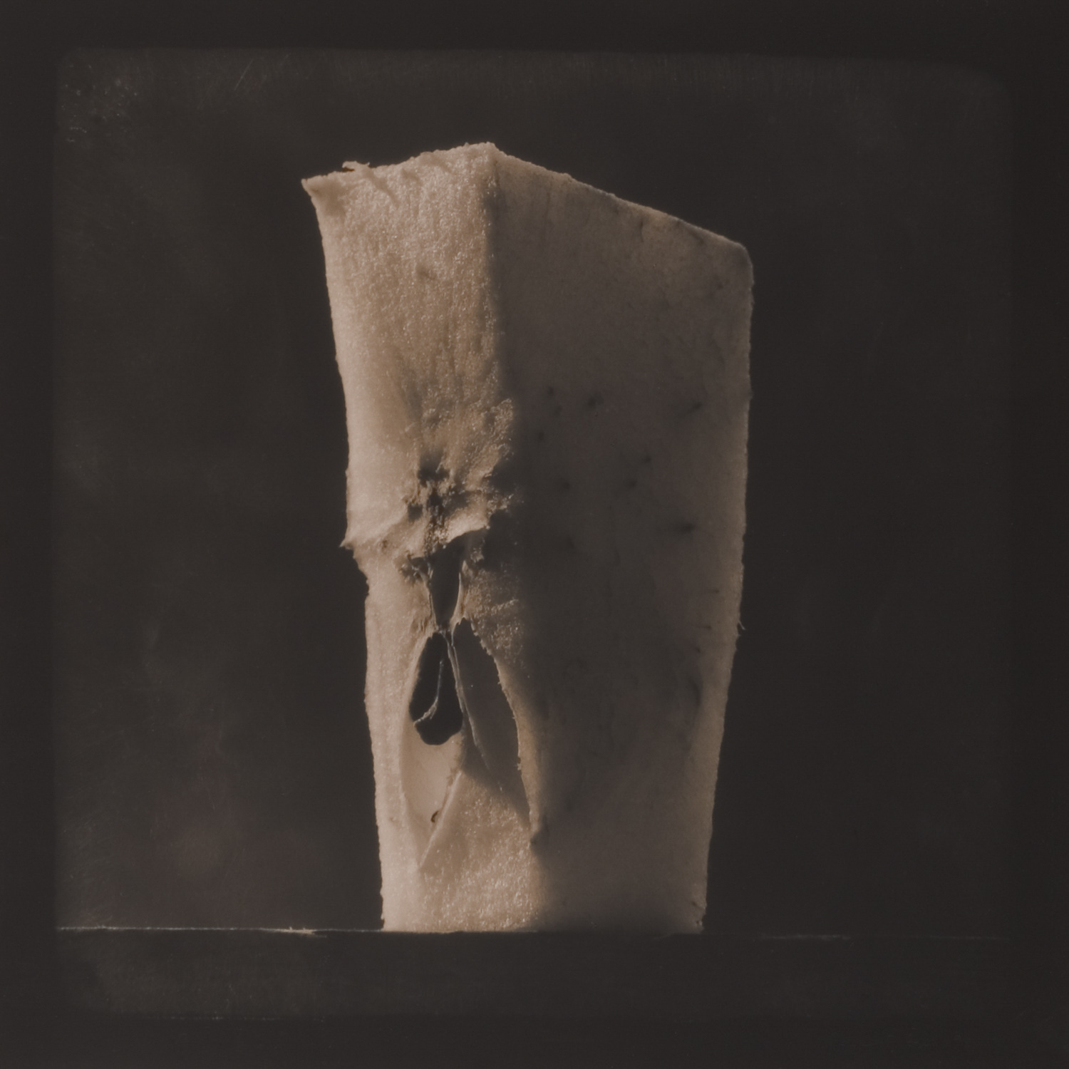 from the series Tales